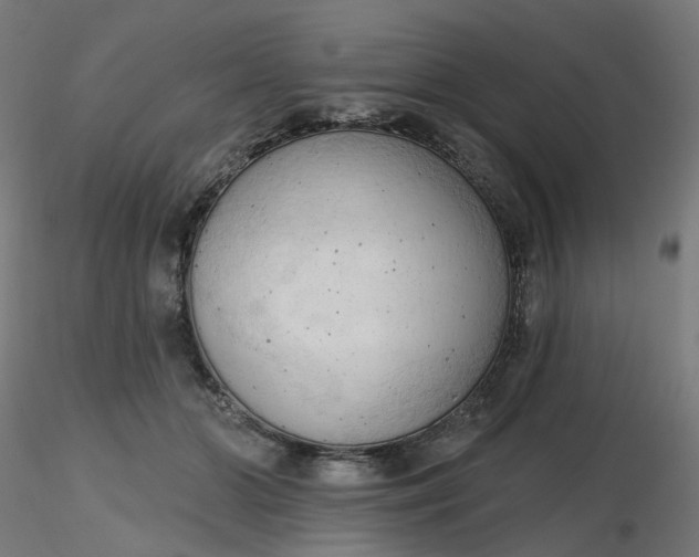 X0000116510510200912231236