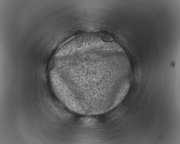 X0000116510512200912231236