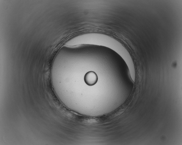 X0000116510513200912231236