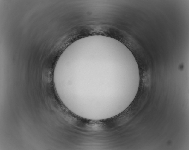 X0000116510514200912231236