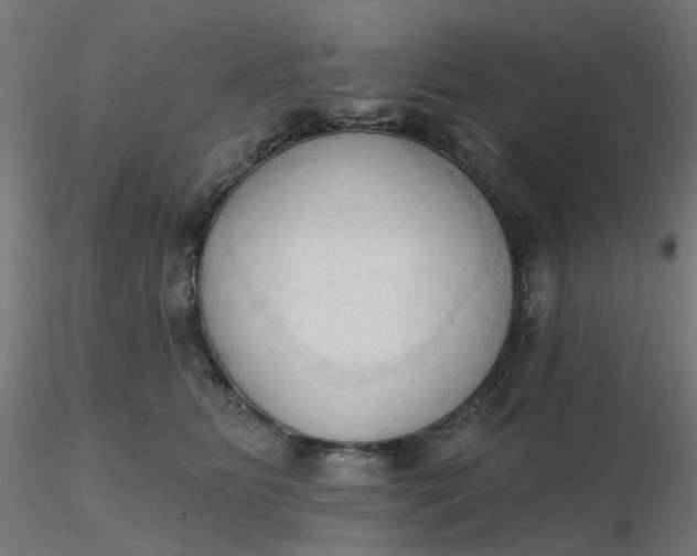 X0000116510515200912231236