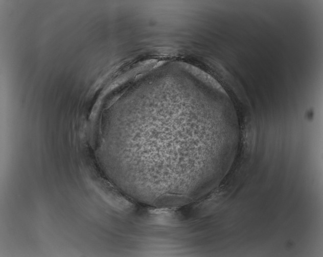 X0000116510516200912231236