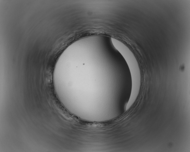 X0000116510517200912231236