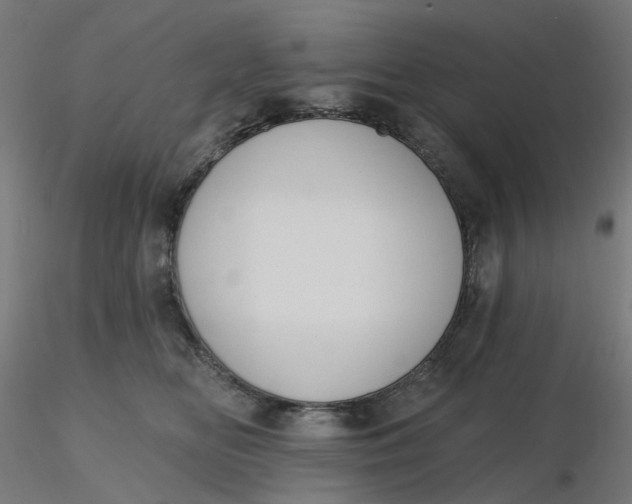 X0000116510518200912231236