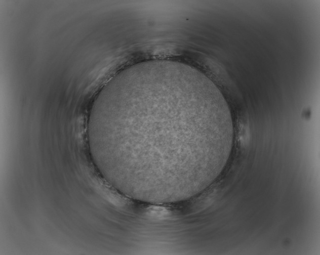 X0000116510519200912231236