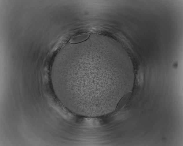 X0000116510520200912231236