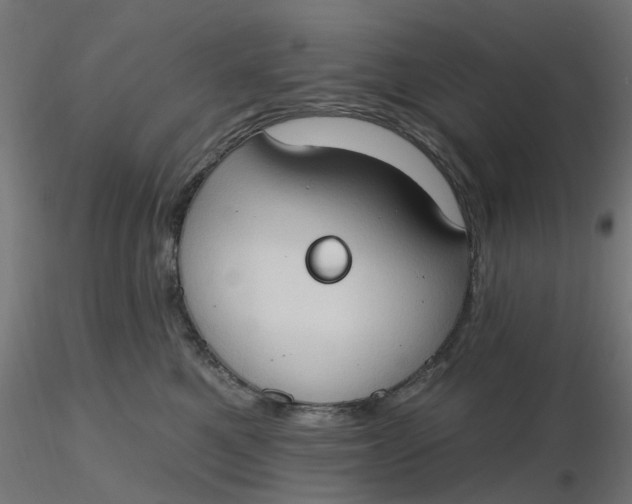 X0000116510521200912231236