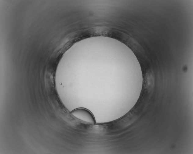 X0000116510522200912231236