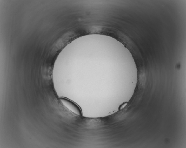 X0000116510525200912231236