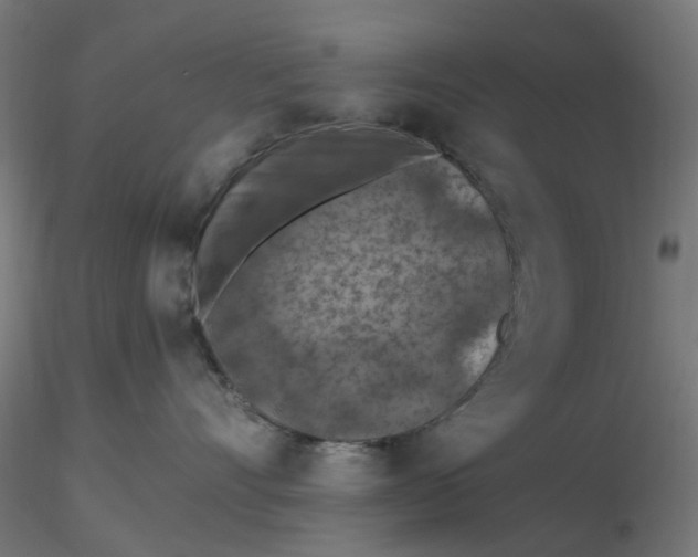 X0000116510528200912231236