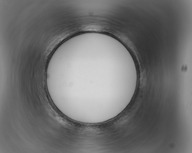 X0000116510529200912231235