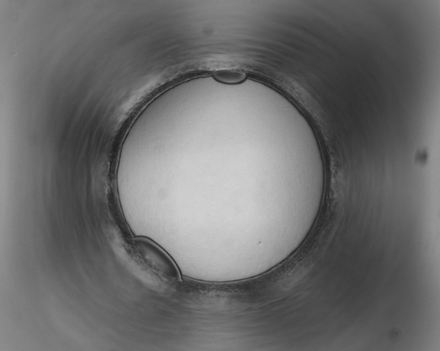 X0000116510530200912231235