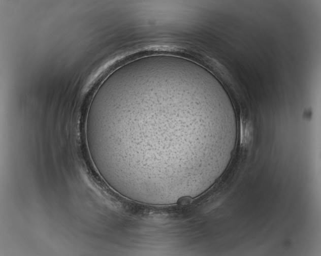 X0000116510531200912231235