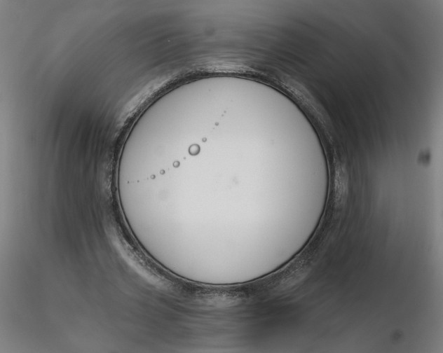 X0000116510533200912231235