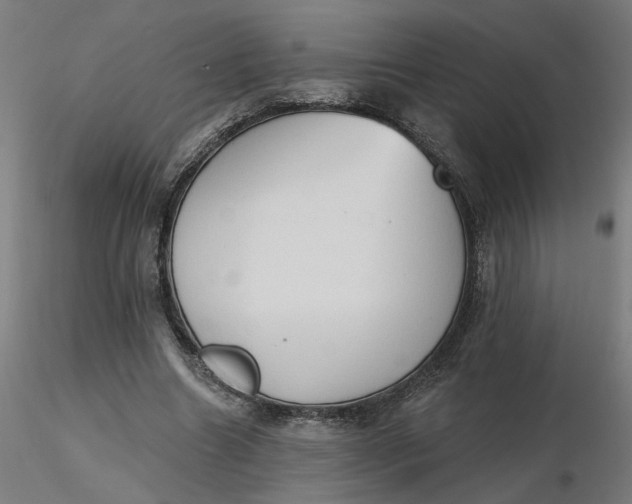 X0000116510538200912231235