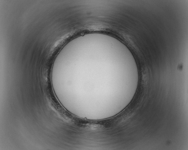 X0000116510539200912231235