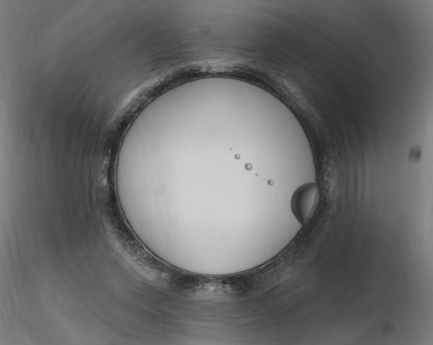 X0000116510543200912231235