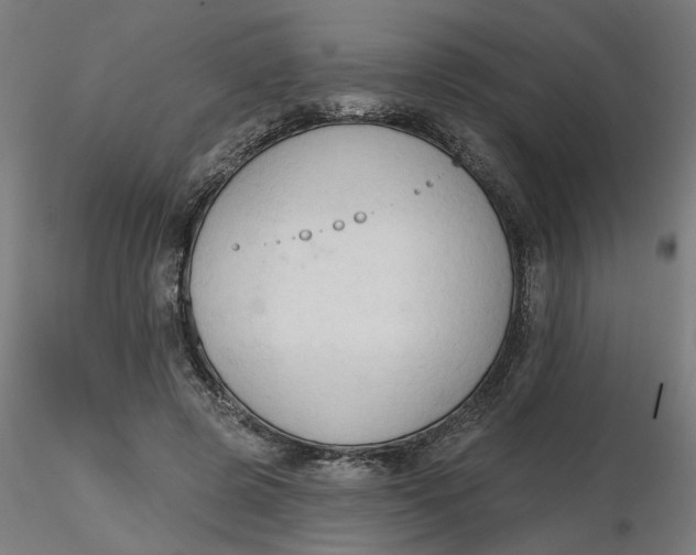 X0000116510545200912231235