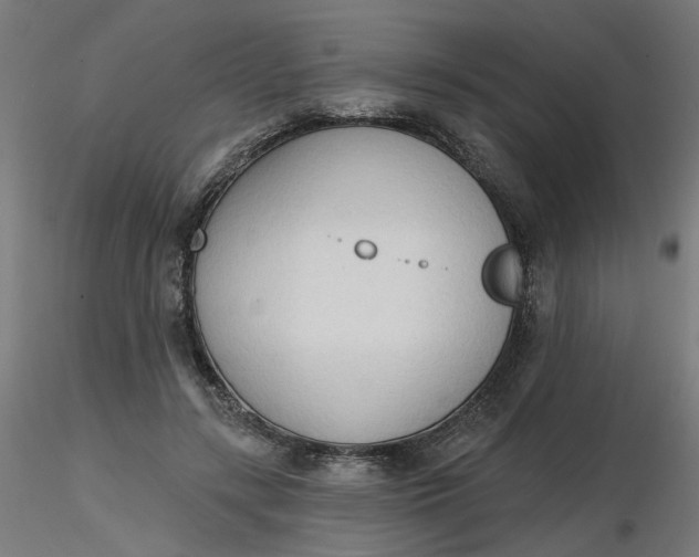 X0000116510547200912231235