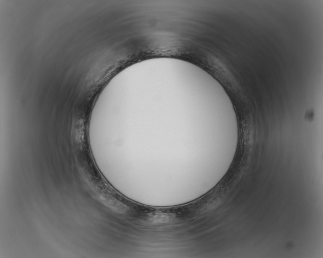 X0000116510549200912231235