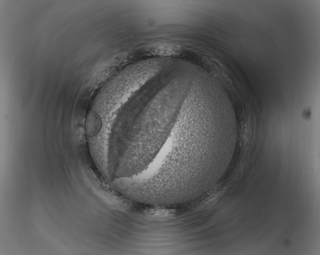 X0000116510553200912231235