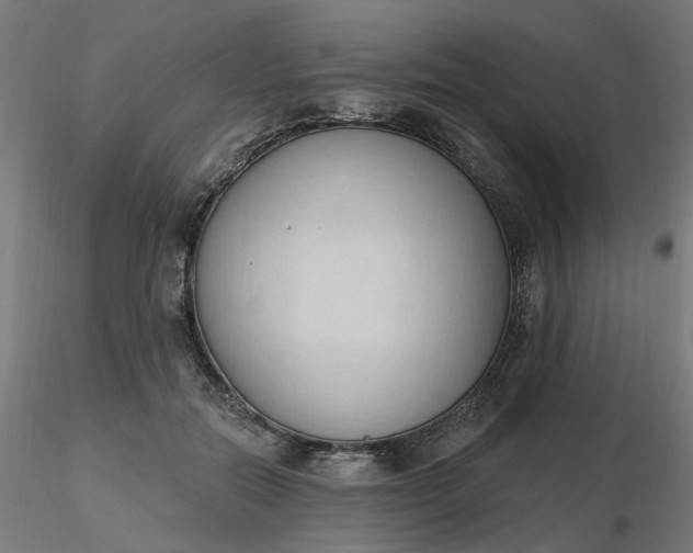 X0000116510554200912231235