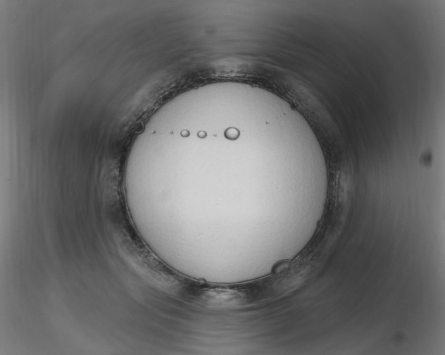 X0000116510557200912231236