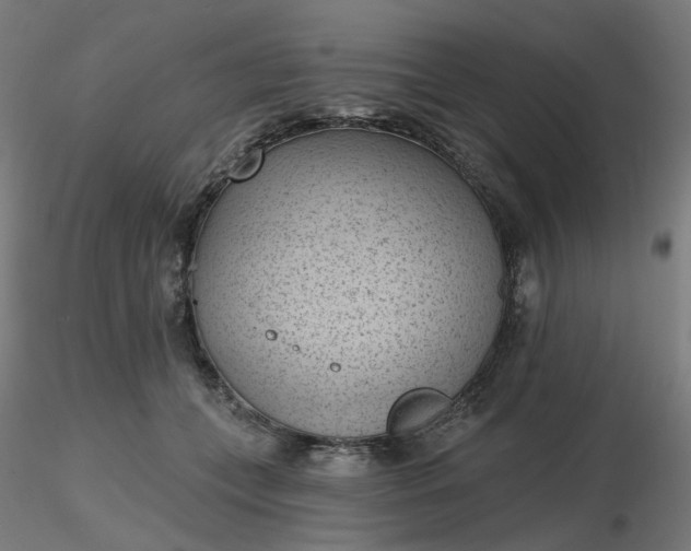 X0000116510559200912231236