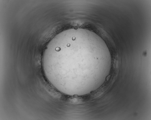 X0000116510561200912231236