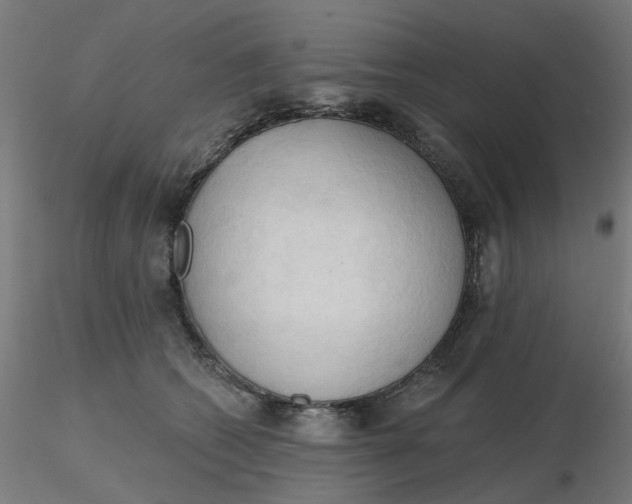 X0000116510562200912231236