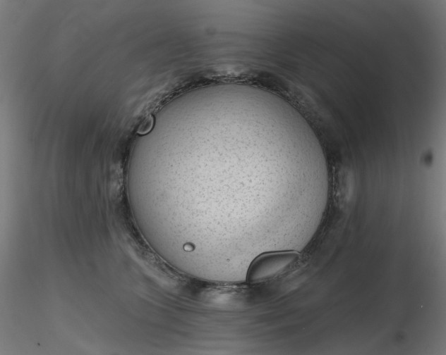 X0000116510563200912231236