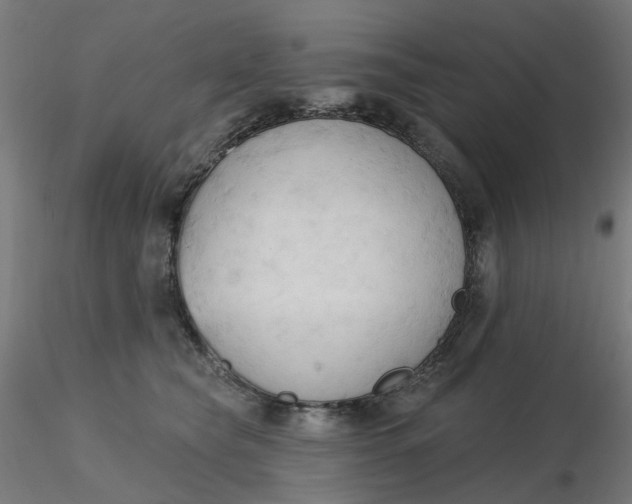 X0000116510565200912231236