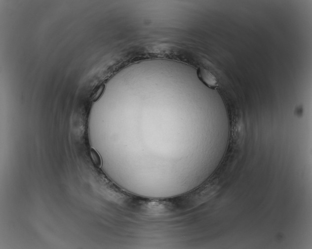 X0000116510566200912231236