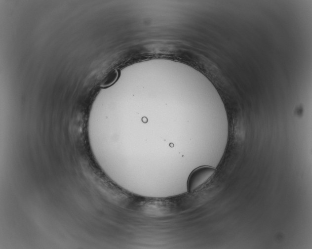 X0000116510567200912231236