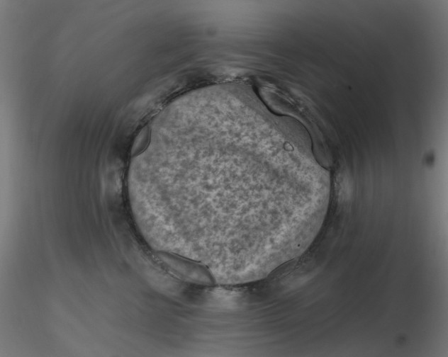 X0000116510570200912231236