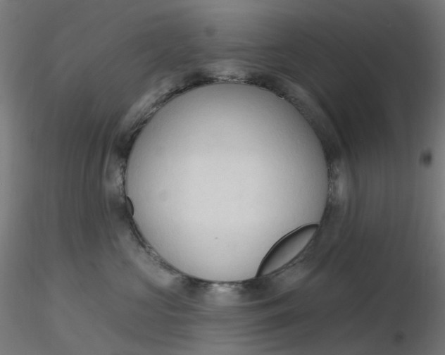 X0000116510573200912231236