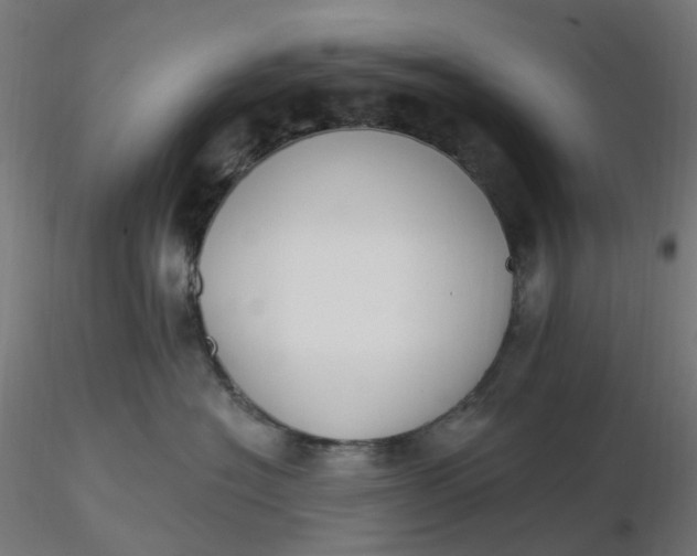 X0000116510574200912231236