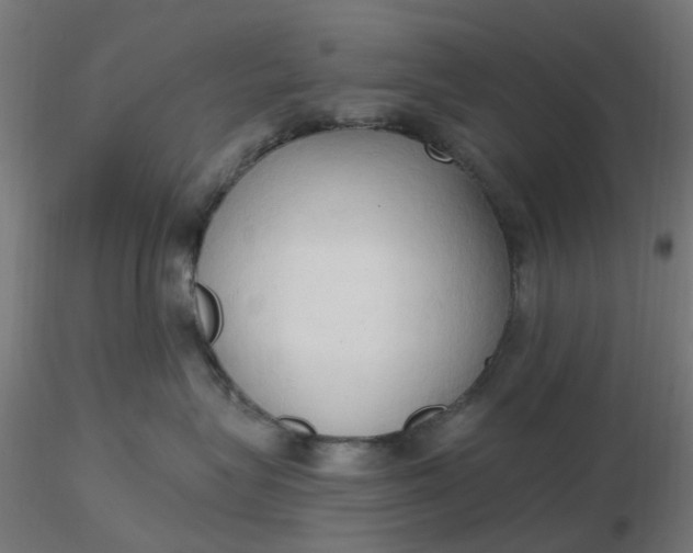 X0000116510575200912231236