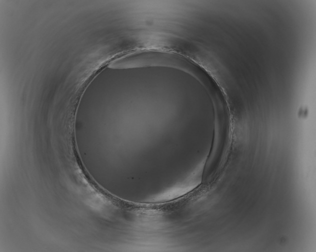 X0000116510577200912231235