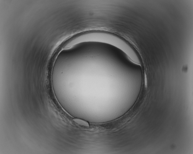 X0000116510579200912231235