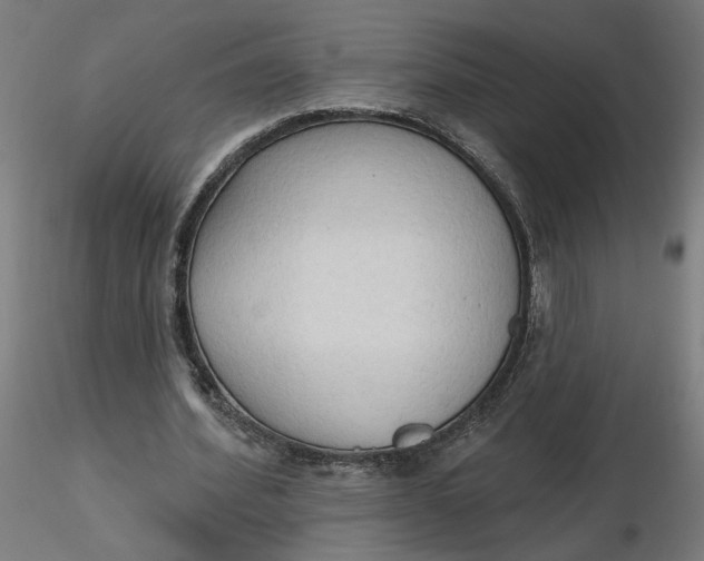 X0000116510580200912231235