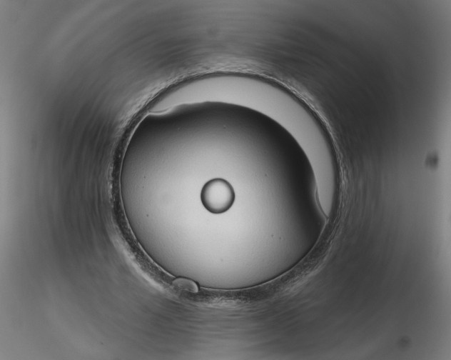 X0000116510581200912231235