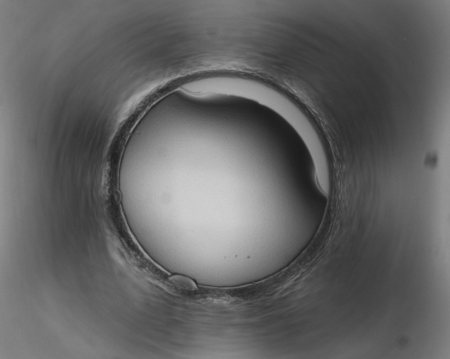 X0000116510583200912231235