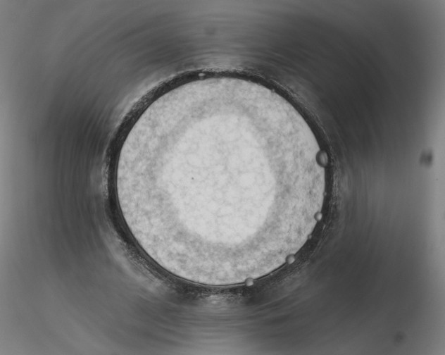 X0000116510584200912231235