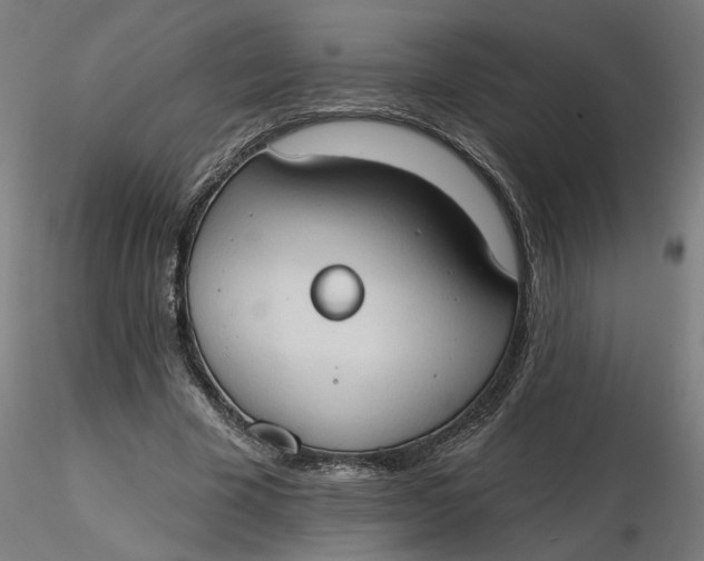 X0000116510585200912231235