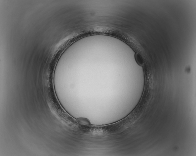 X0000116510587200912231235