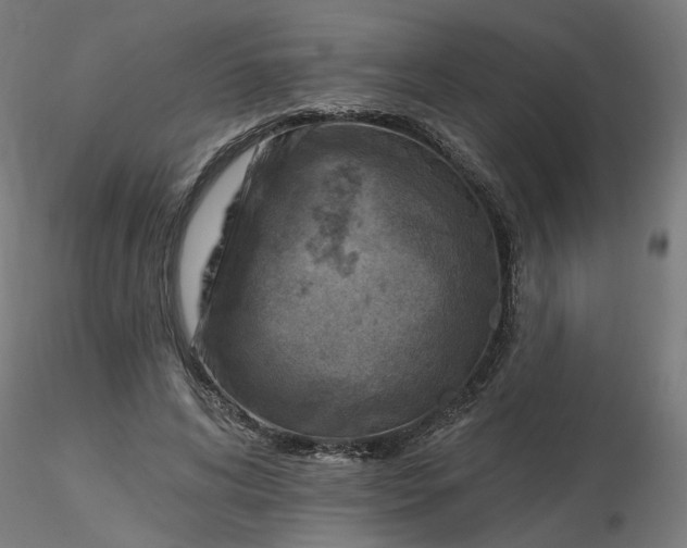 X0000116510592200912231235