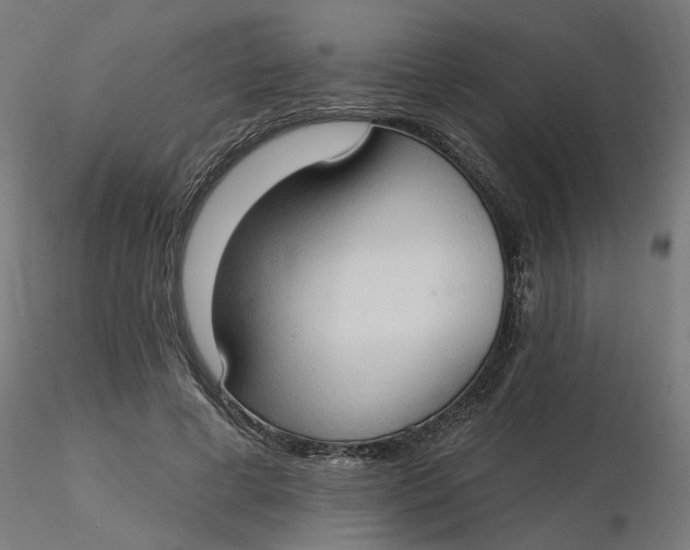 X0000116510593200912231235