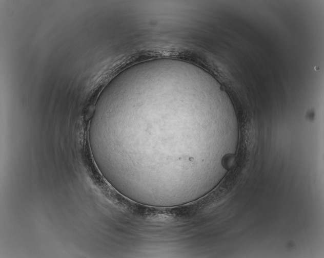 X0000116510594200912231235