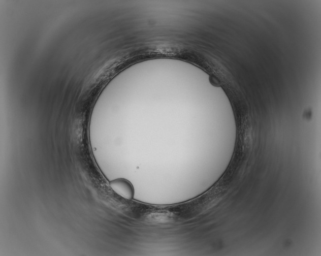 X0000116510595200912231235